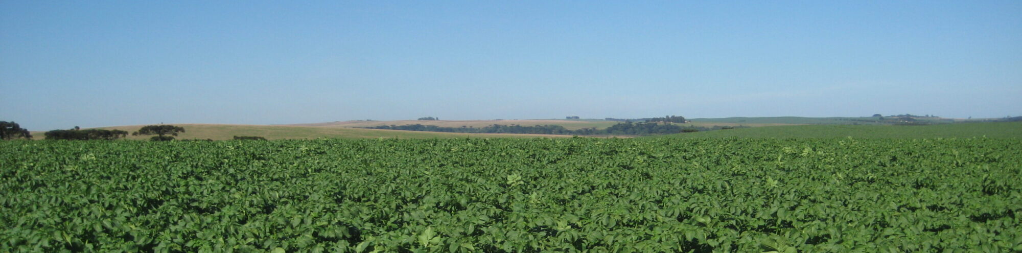 Grupo Agro Santa Fé